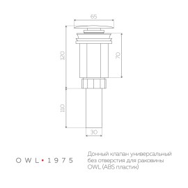 owlkl002_19816_2